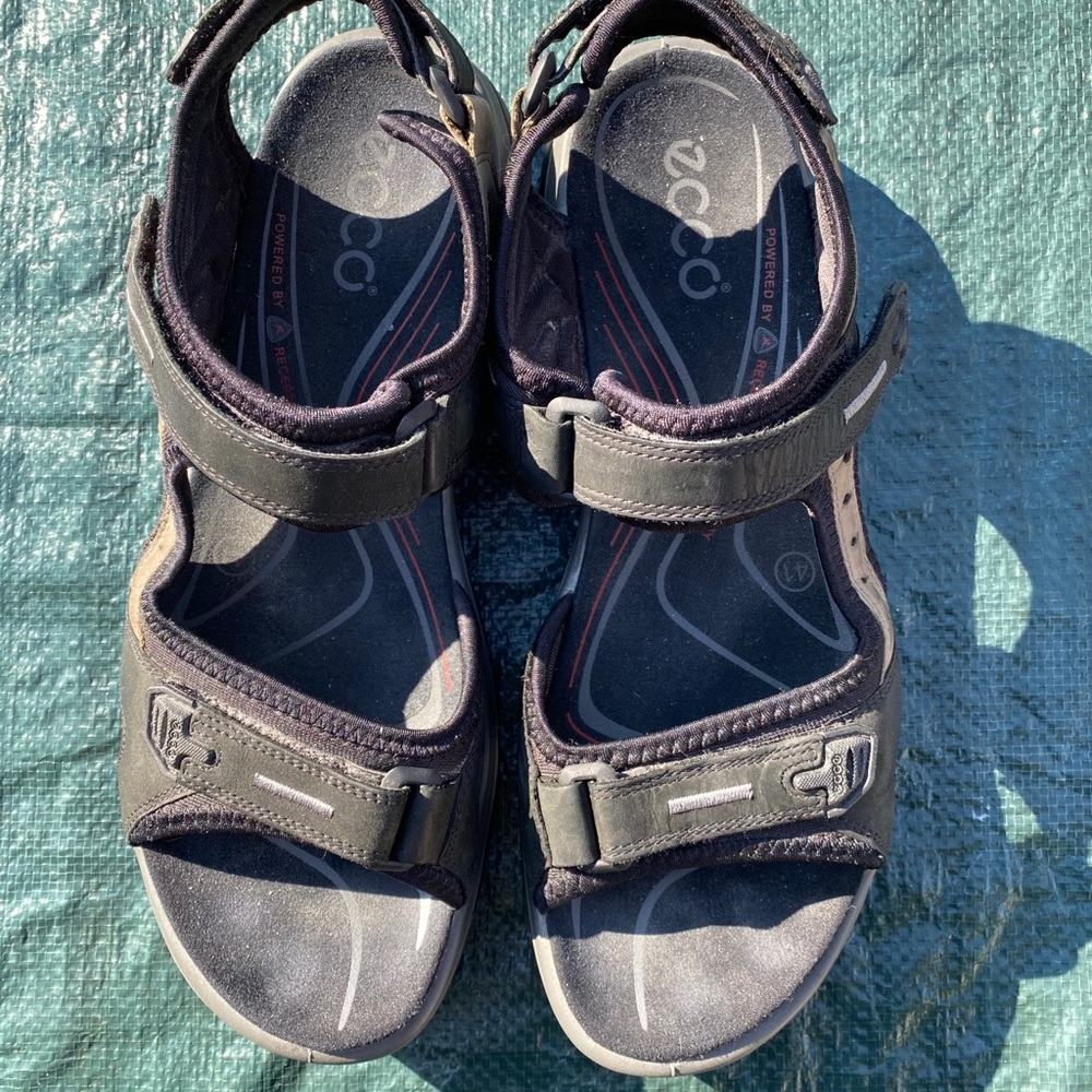Black Ecco Sandals